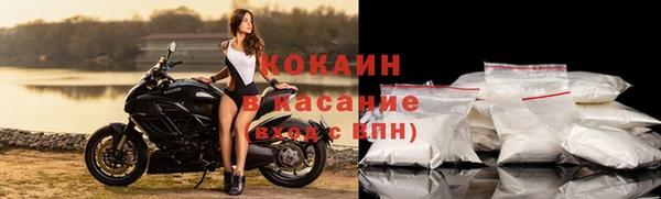 хмурый Аркадак