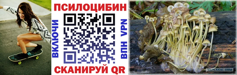 Галлюциногенные грибы Psilocybine cubensis  Алапаевск 